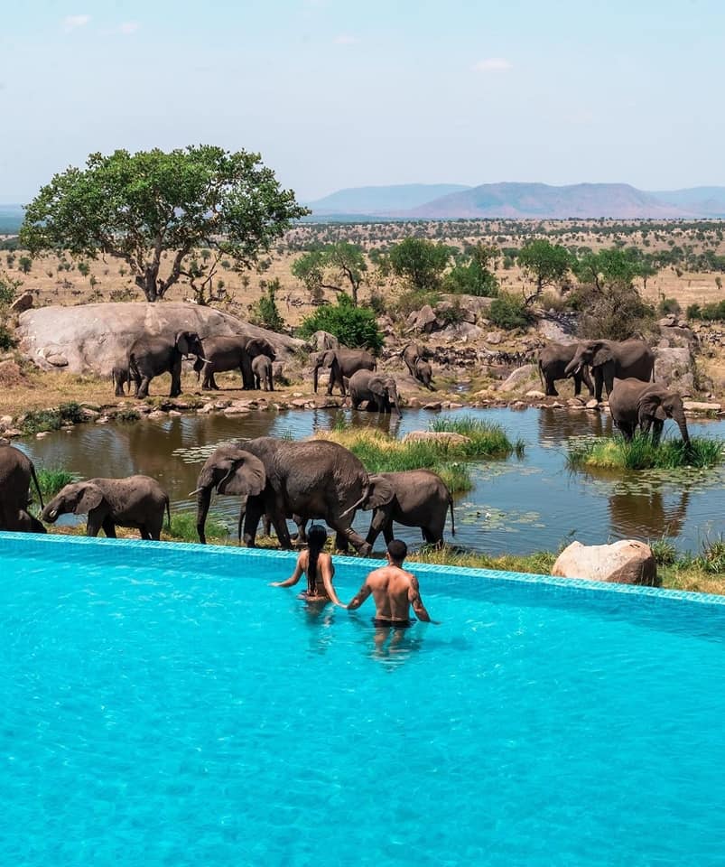 Safari N Smiles: maasai mara