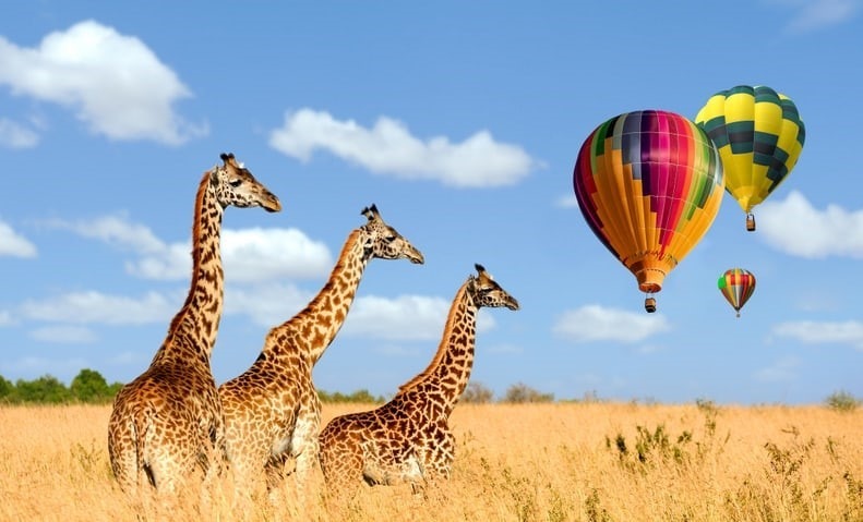 balloon safari