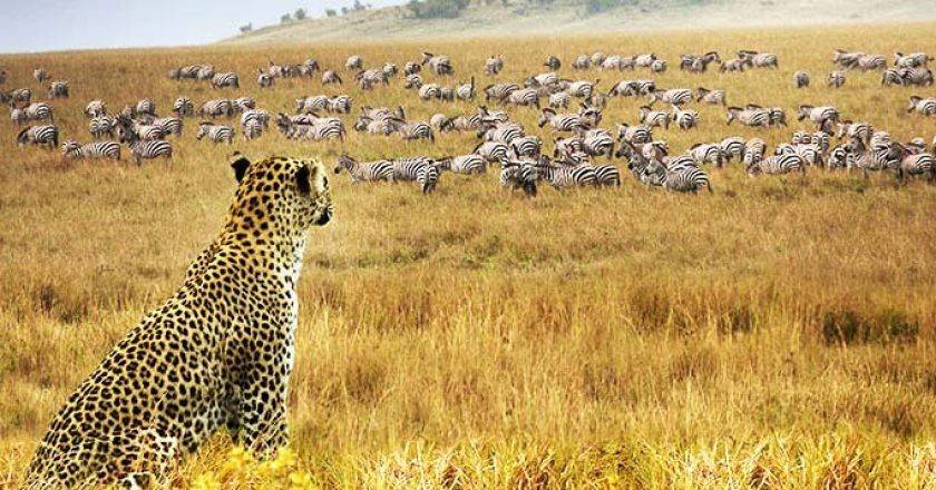 samburu reserve